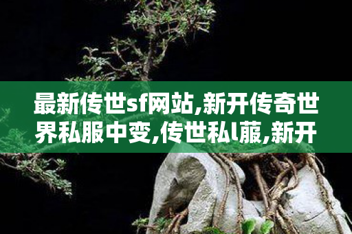 最新传世sf网站,新开传奇世界私服中变,传世私l菔,新开传奇世界私服中变