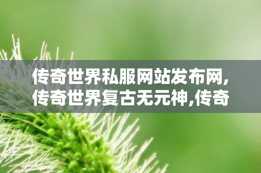 传奇世界私服网站发布网,传奇世界复古无元神,传奇世界私服,新开传世sf网,传奇世界复古无元神