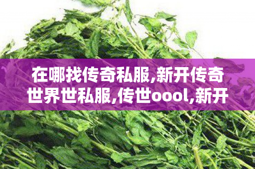 在哪找传奇私服,新开传奇世界世私服,传世oool,新开传奇世界世私服