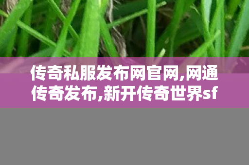 传奇私服发布网官网,网通传奇发布,新开传奇世界sf网站,网通传奇发布