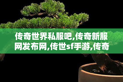 传奇世界私服吧,传奇新服网发布网,传世sf手游,传奇新服网发布网