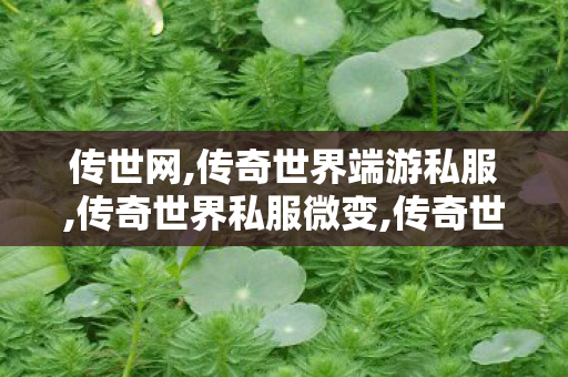 传世网,传奇世界端游私服,传奇世界私服微变,传奇世界端游私服