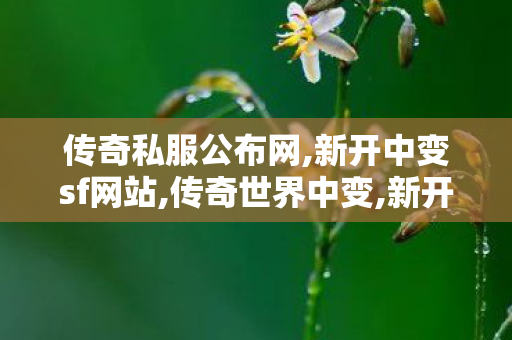 传奇私服公布网,新开中变sf网站,传奇世界中变,新开中变sf网站