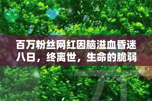 百万粉丝网红因脑溢血昏迷八日，终离世，生命的脆弱与网络的反思