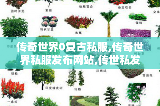 传奇世界0复古私服,传奇世界私服发布网站,传世私发服网sf,传奇世界私服发布网站