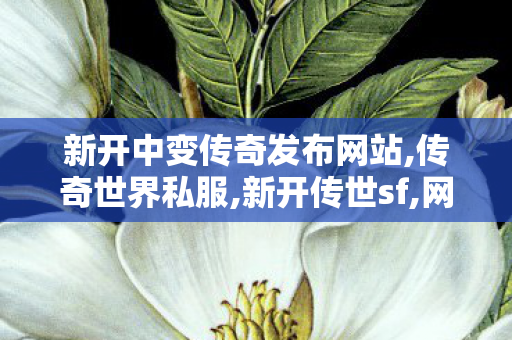 新开中变传奇发布网站,传奇世界私服,新开传世sf,网通sf,传奇世界私服,新开传世sf