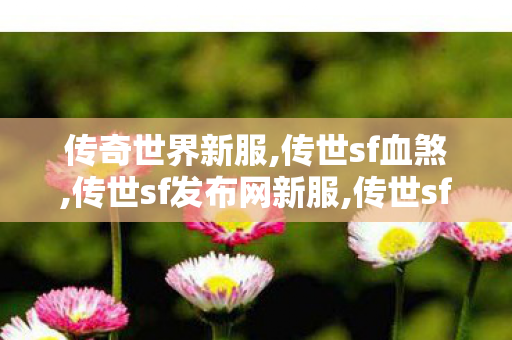 传奇世界新服,传世sf血煞,传世sf发布网新服,传世sf血煞