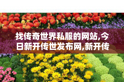 找传奇世界私服的网站,今日新开传世发布网,新开传奇世界私服,今日新开传世发布网