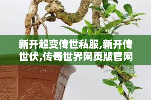 新开超变传世私服,新开传世伏,传奇世界网页版官网,新开传世伏
