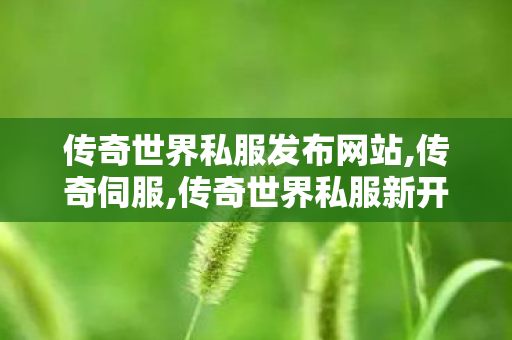 传奇世界私服发布网站,传奇伺服,传奇世界私服新开传世私服发布网,传奇伺服