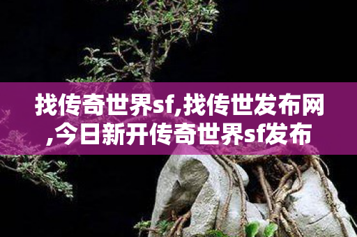 找传奇世界sf,找传世发布网,今日新开传奇世界sf发布网站,找传世发布网