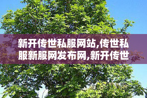 新开传世私服网站,传世私服新服网发布网,新开传世私服网站,传世私服新服网发布网
