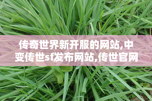 传奇世界新开服的网站,中变传世sf发布网站,传世官网,中变传世sf发布网站