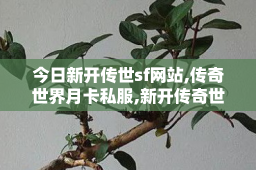 今日新开传世sf网站,传奇世界月卡私服,新开传奇世界私服发布,传奇世界月卡私服