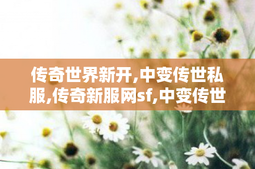 传奇世界新开,中变传世私服,传奇新服网sf,中变传世私服
