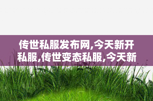 传世私服发布网,今天新开私服,传世变态私服,今天新开私服