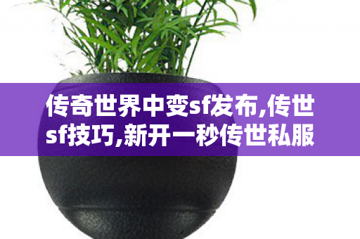 传奇世界中变sf发布,传世sf技巧,新开一秒传世私服,传世sf技巧