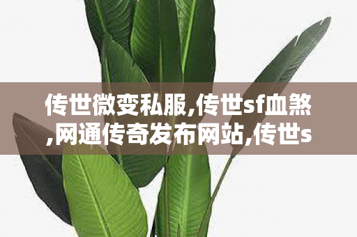 传世微变私服,传世sf血煞,网通传奇发布网站,传世sf血煞