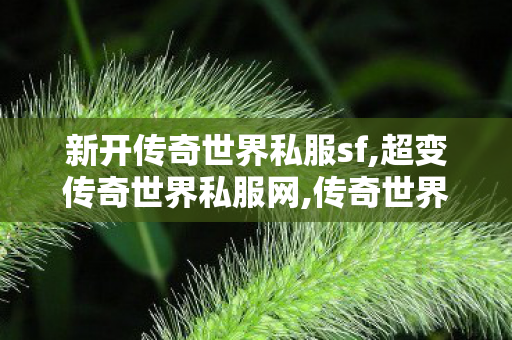 新开传奇世界私服sf,超变传奇世界私服网,传奇世界新开私服,超变传奇世界私服网