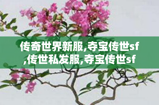 传奇世界新服,夺宝传世sf,传世私发服,夺宝传世sf