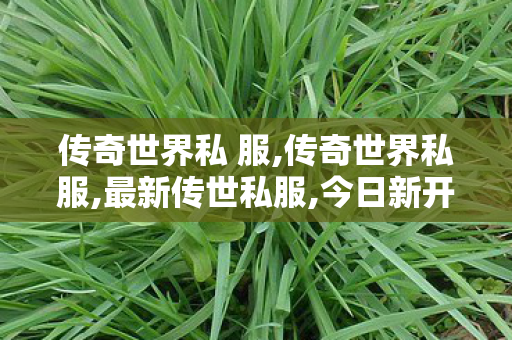 传奇世界私 服,传奇世界私服,最新传世私服,今日新开传奇世界sf发布网站,传奇世界私服,最新传世私服