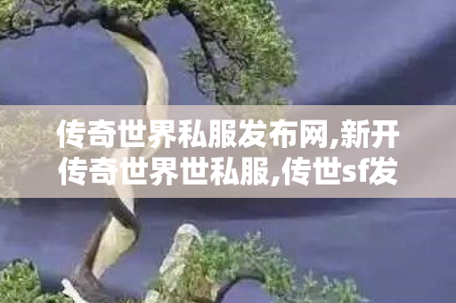 传奇世界私服发布网,新开传奇世界世私服,传世sf发布网新服,新开传奇世界世私服