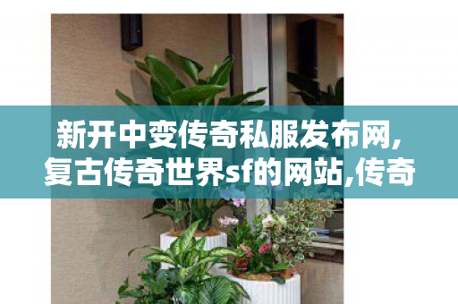 新开中变传奇私服发布网,复古传奇世界sf的网站,传奇世界新开私服,复古传奇世界sf的网站