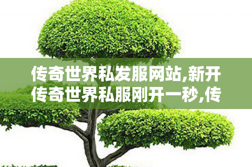 传奇世界私发服网站,新开传奇世界私服刚开一秒,传奇世界网站,新开传奇世界私服刚开一秒