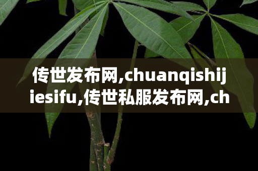 传世发布网,chuanqishijiesifu,传世私服发布网,chuanqishijiesifu