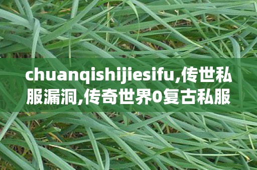 chuanqishijiesifu,传世私服漏洞,传奇世界0复古私服,传世私服漏洞