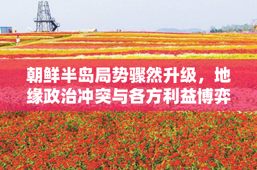 朝鲜半岛局势骤然升级，地缘政治冲突与各方利益博弈的焦点