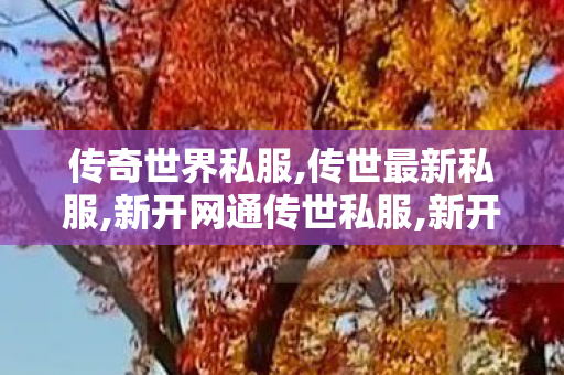 传奇世界私服,传世最新私服,新开网通传世私服,新开传奇世界网站中变私服,新开网通传世私服