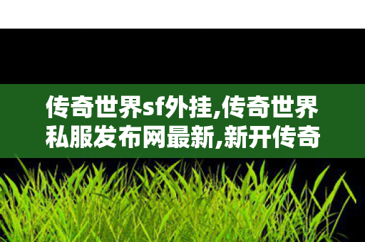 传奇世界sf外挂,传奇世界私服发布网最新,新开传奇世界世私服,传奇世界私服发布网最新