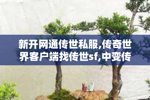 新开网通传世私服,传奇世界客户端	找传世sf,中变传奇sf发布网站,传奇世界客户端	找传世sf