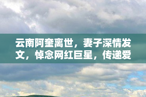 云南阿奎离世，妻子深情发文，悼念网红巨星，传递爱与力量