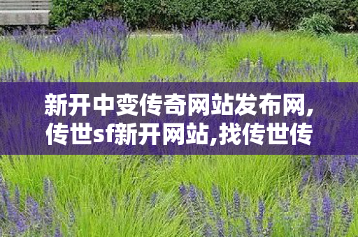 新开中变传奇网站发布网,传世sf新开网站,找传世传奇,传世sf新开网站