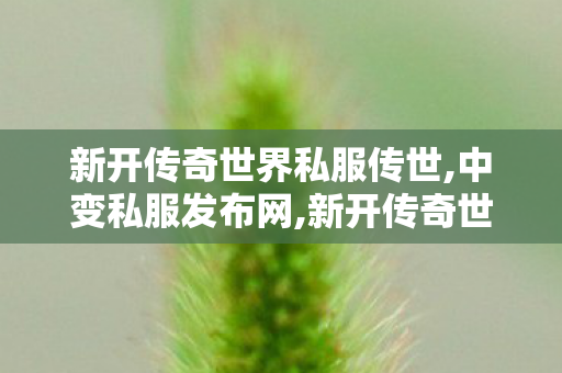 新开传奇世界私服传世,中变私服发布网,新开传奇世界,中变私服发布网