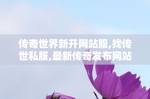 传奇世界新开网站服,找传世私服,最新传奇发布网站,找传世私服