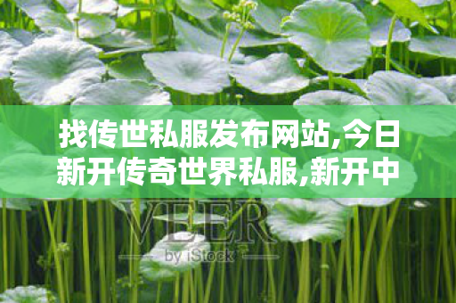 找传世私服发布网站,今日新开传奇世界私服,新开中变传奇网站发布网,今日新开传奇世界私服