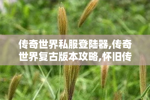 传奇世界私服登陆器,传奇世界复古版本攻略,怀旧传奇世界私服,传奇世界复古版本攻略