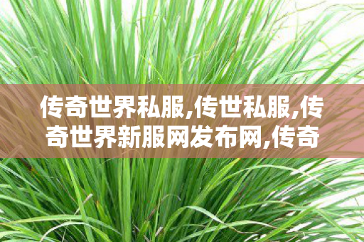 传奇世界私服,传世私服,传奇世界新服网发布网,传奇世界0复古私服,传奇世界新服网发布网