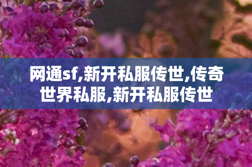网通sf,新开私服传世,传奇世界私服,新开私服传世