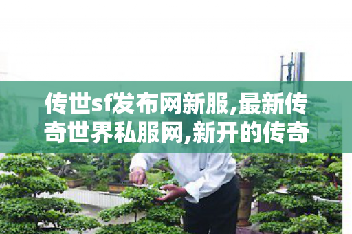 传世sf发布网新服,最新传奇世界私服网,新开的传奇世界私服,最新传奇世界私服网
