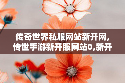 传奇世界私服网站新开网,传世手游新开服网站0,新开传世发布网站,传世手游新开服网站0