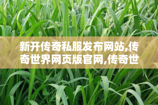 新开传奇私服发布网站,传奇世界网页版官网,传奇世界sf外挂,传奇世界网页版官网