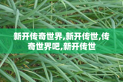 新开传奇世界,新开传世,传奇世界吧,新开传世