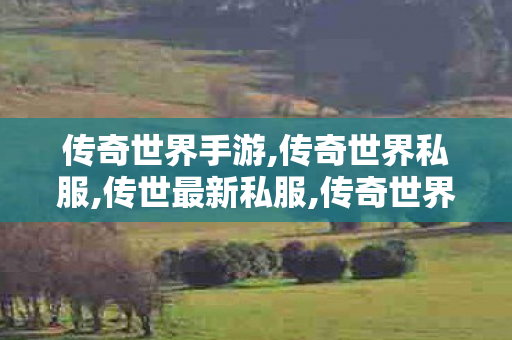 传奇世界手游,传奇世界私服,传世最新私服,传奇世界私服发布网站,传奇世界私服,传世最新私服