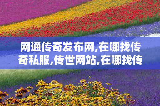 网通传奇发布网,在哪找传奇私服,传世网站,在哪找传奇私服