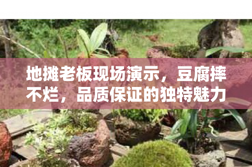 地摊老板现场演示，豆腐摔不烂，品质保证的独特魅力