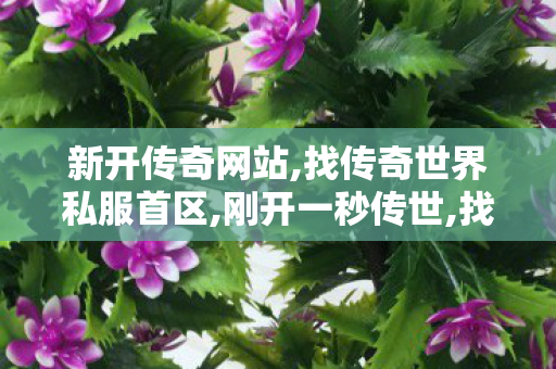 新开传奇网站,找传奇世界私服首区,刚开一秒传世,找传奇世界私服首区